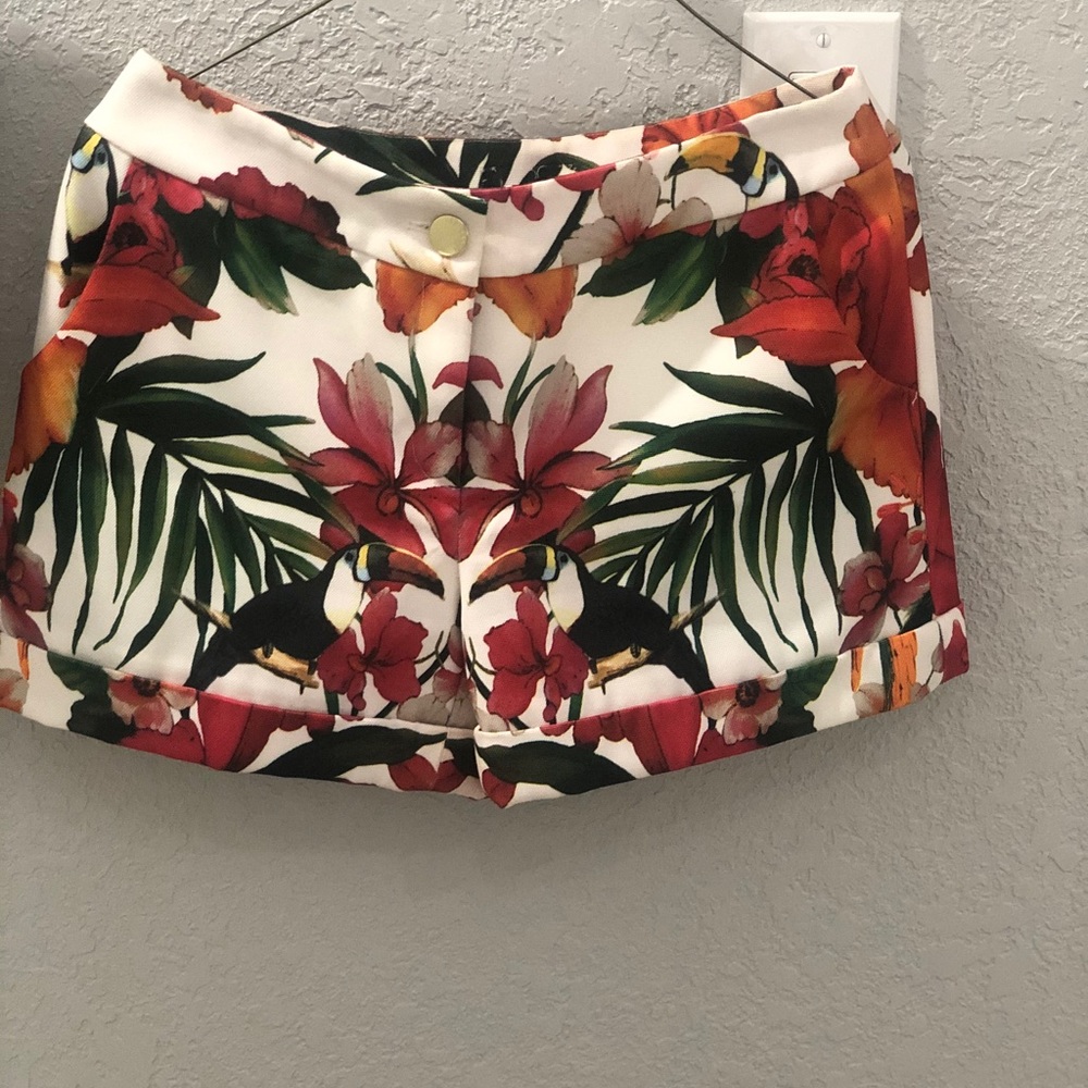 Dressy Ted Baker Shorts